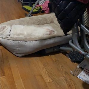 Dog bed dog not included